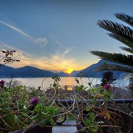 Apartment Terazza Di Ljuta Kotor Kültér fotó
