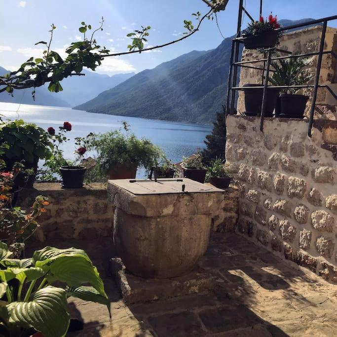 Apartment Terazza Di Ljuta Kotor Kültér fotó