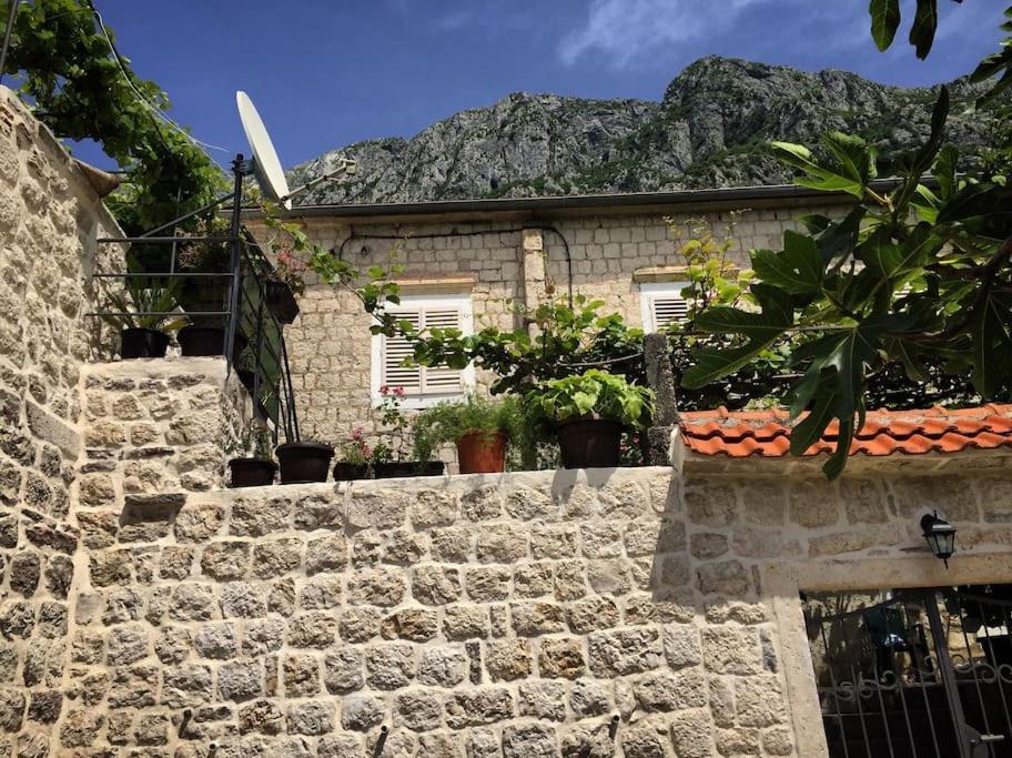Apartment Terazza Di Ljuta Kotor Kültér fotó