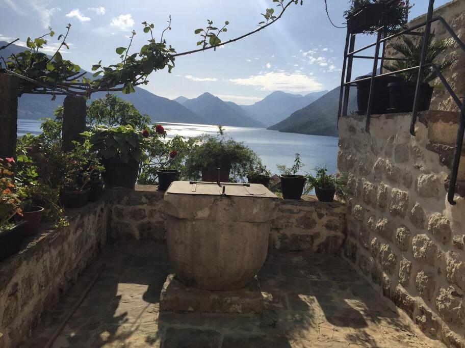 Apartment Terazza Di Ljuta Kotor Kültér fotó