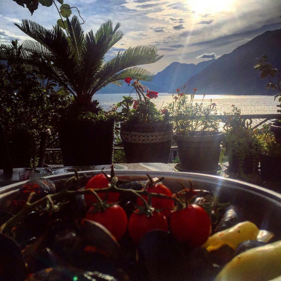 Apartment Terazza Di Ljuta Kotor Kültér fotó